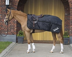 Back On Track -Back On Track 2125 Exercise Rug Haze WEB 2 1280x1280