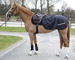 Back On Track -Back On Track 2126 Exercise Rug Loin WEB 2 1280x1280