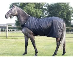 Back On Track -Back On Track 2128 Exercise Rug Machine WEB 2 1280x1280