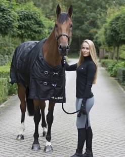 Back On Track -Back On Track 2143 Frost Rug WEB 2 1280x1280