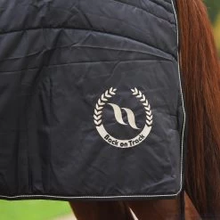 Back On Track -Back On Track back on track staldeken 3 1