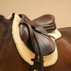 Back On Track Saddle Pad Teddy