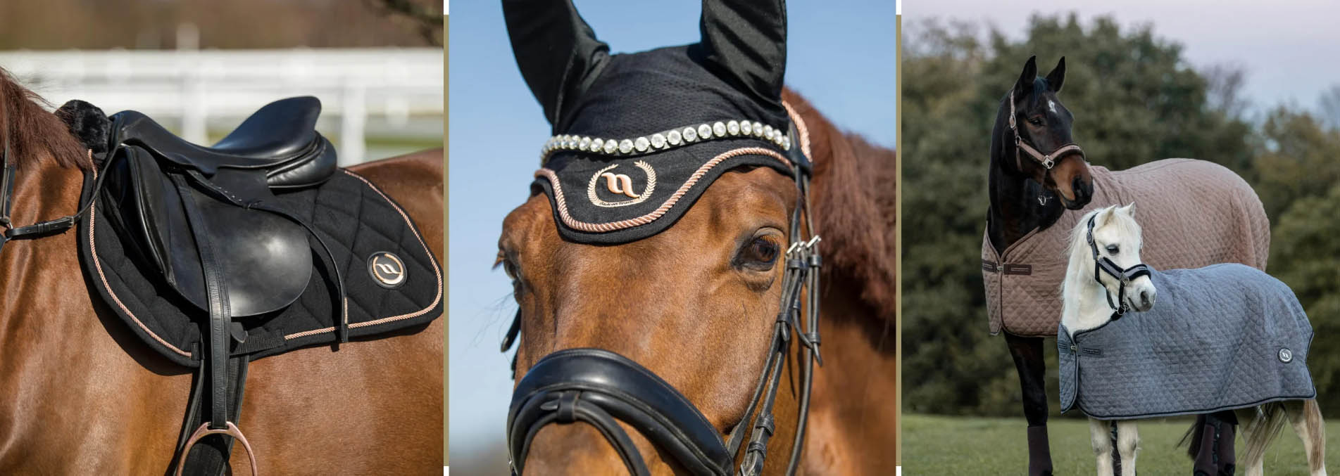 Back On Track -Back On Track fgdfg 1